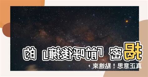 前呼後擁意思