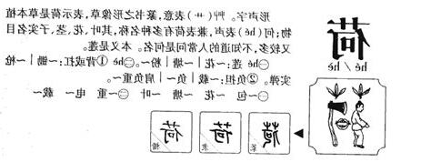 荷的意思