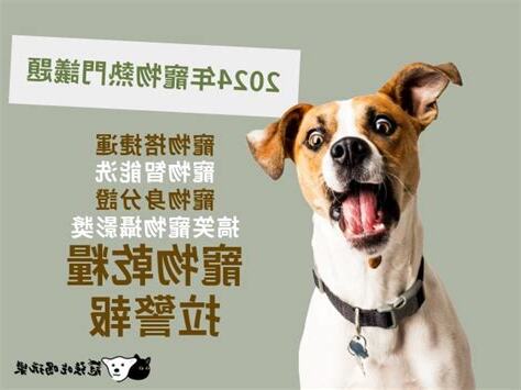 寵物議題