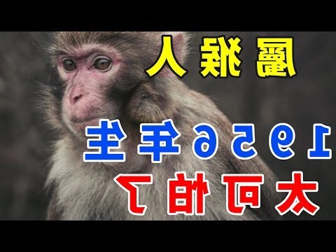 80年屬猴