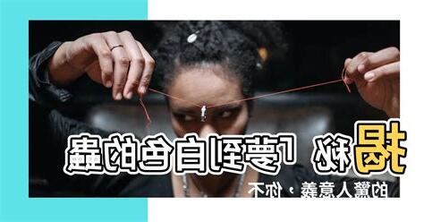 夢到白色的蟲