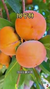 山下旺宅
