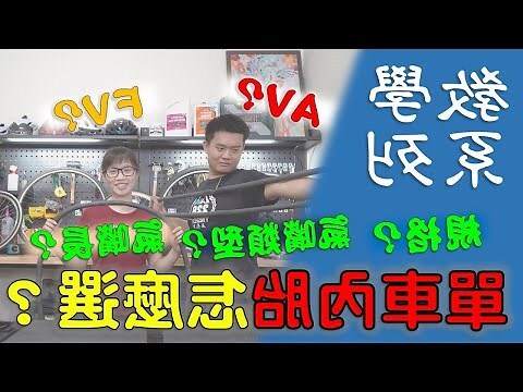胎氣是什麼