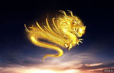 丙辰年火龍