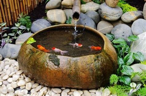 陽台魚缸風水