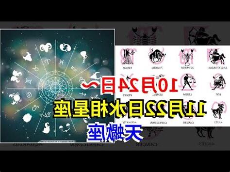 11月17日天蠍女