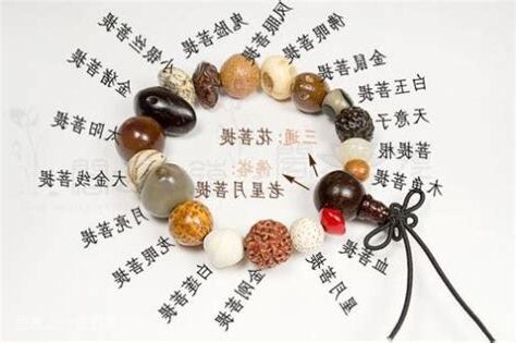 菩提是什么意思
