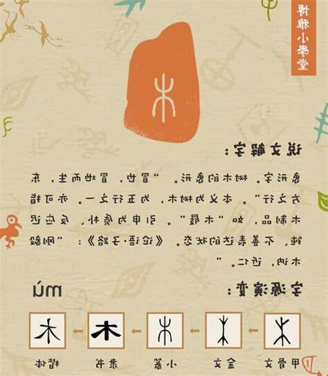 跟木有關的字