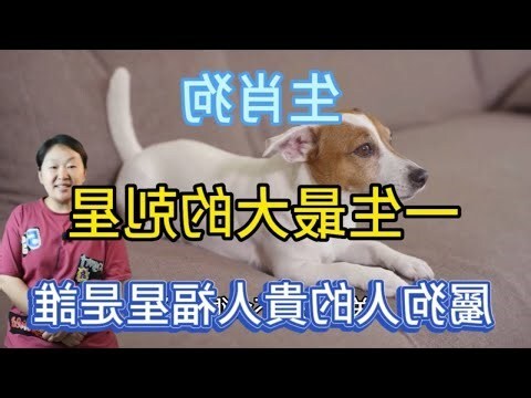 2023屬狗貴人