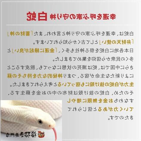 蛇風水