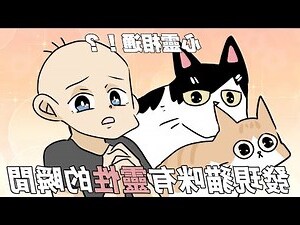 貓咪有靈性嗎