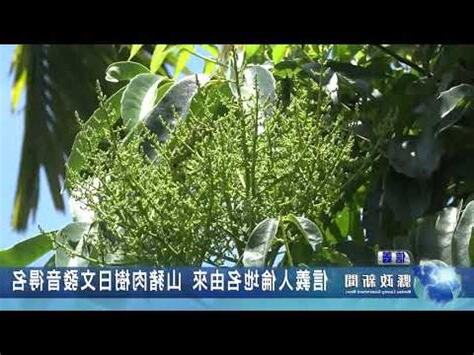 南投地名的由來
