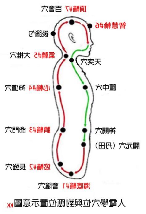 頂輪位置
