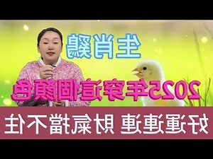 生肖房間顏色