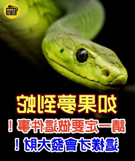 夢到殺死蛇