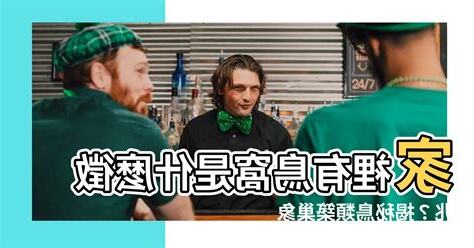 家裡有鳥窩