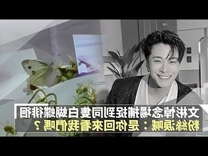 看到白蝴蝶徵兆