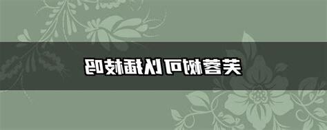 芙蓉插枝
