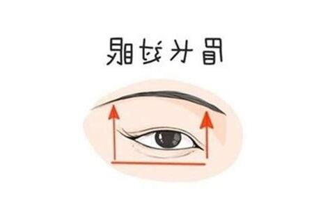 眉短不過目