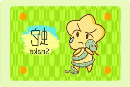 屬蛇女配對