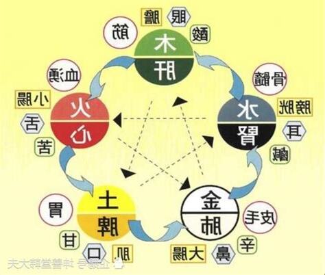 中醫五行歸類表