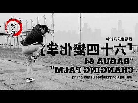 六十四手