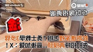 小蛇跑進家裡
