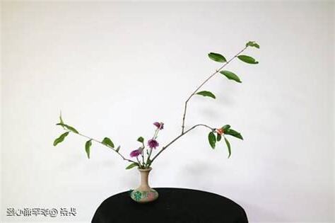 客廳掛心經好嗎