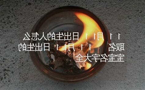 11月11日出生的人