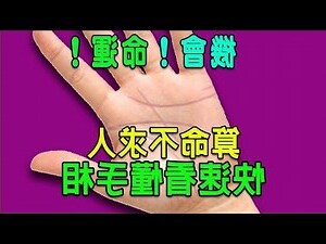 智慧線橫貫手掌
