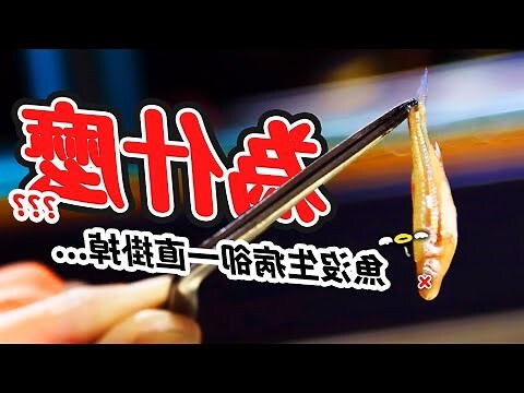 魚一直死