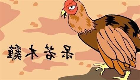 木雞年