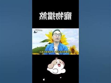 寵物擋煞