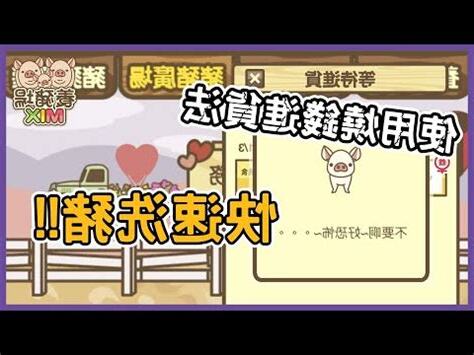武士豬配種
