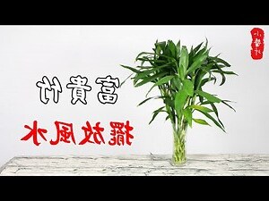 開運竹功效