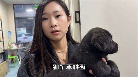 老公狗