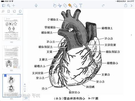 心底位置