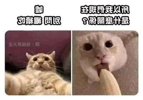 所以我們現在是什麼關係