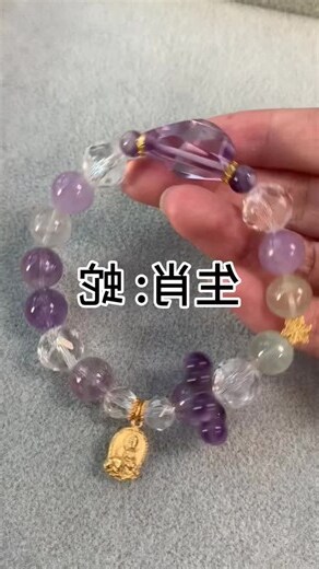 蛇年