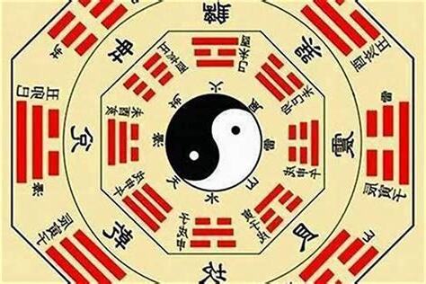1969五行属什么
