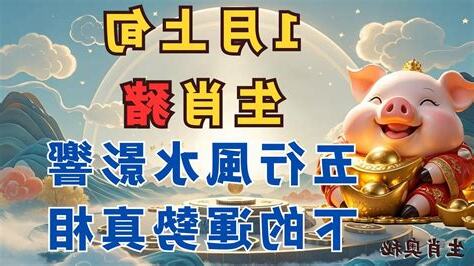 生肖豬五行