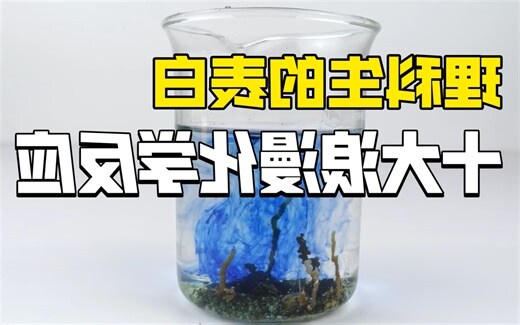 反映的意思