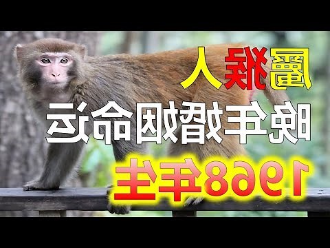 屬猴女