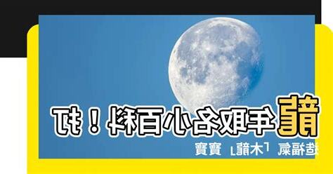 木龍寶寶