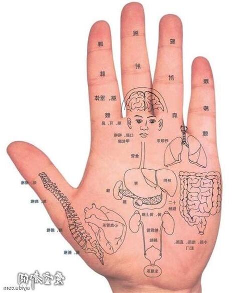 手心的痣