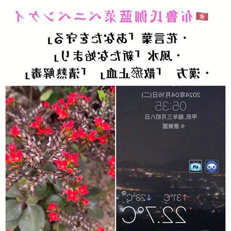 風水花