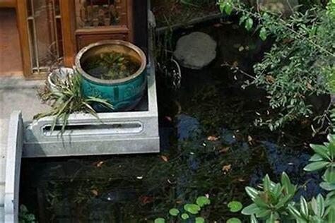 門口水池風水