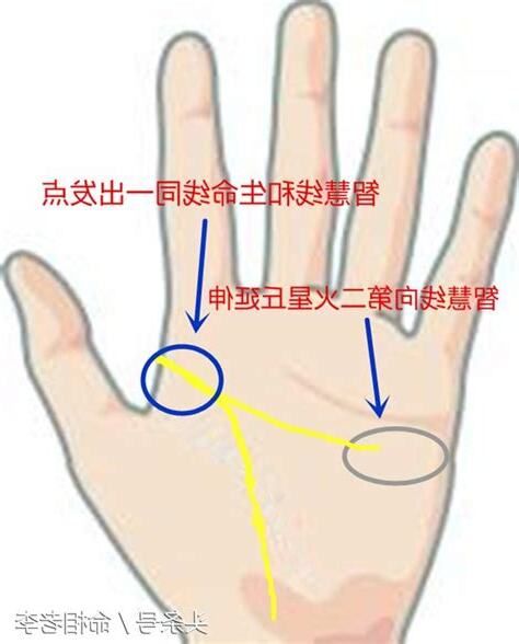 生命線智慧線中間多一條