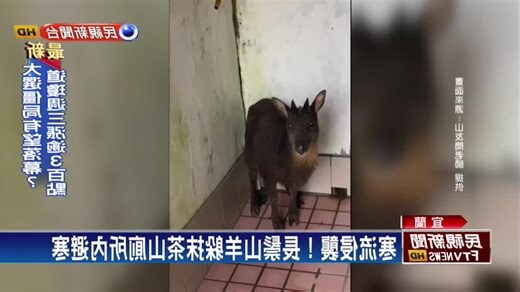 女性私密處有痣