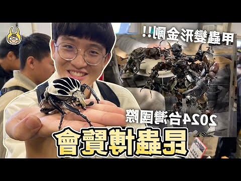 餘氏角金龜